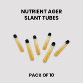 Pre-Poured Sterilized Malt Extract Agar Bottles – 10-Pack | Ready Sterile Culture Media